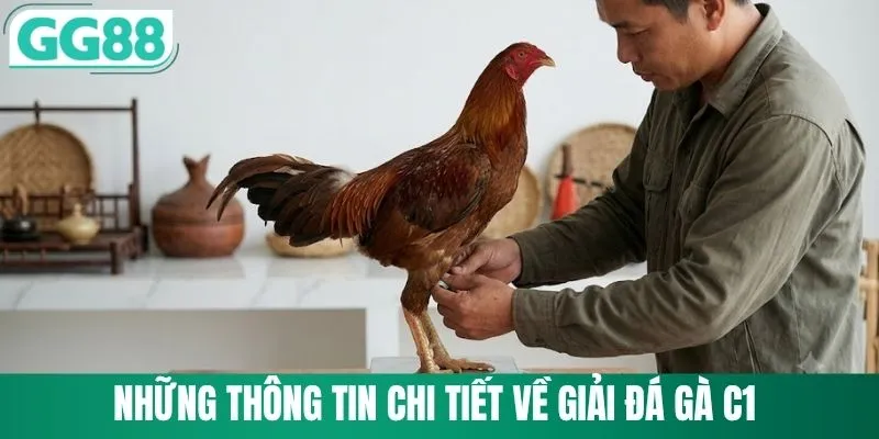 Đá Gà C1 Trực Tiếp Từ GG88 Với Những Chiến Kê Siêu Hạng 1 Những thông tin chi tiết về giải đá gà C1